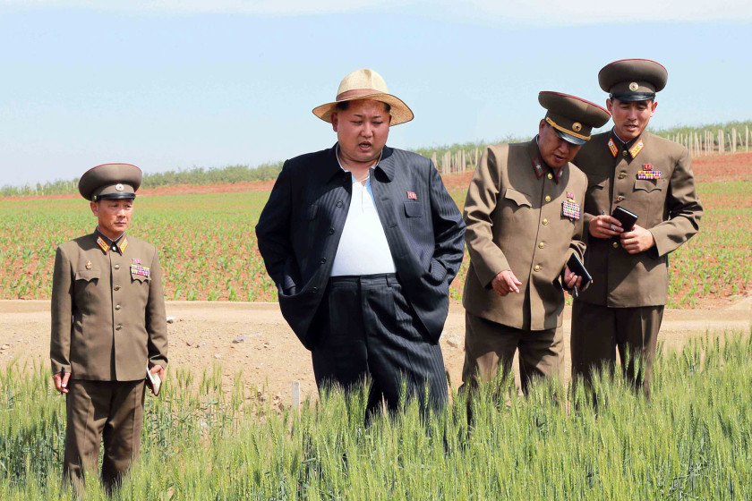 O Κιμ Γιονγκ Ουν αγρότης: Με ψάθινο καπέλο στους αγρούς [εικόνες] | iefimerida.gr 0