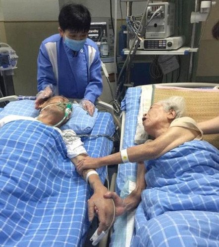 Συγκινητικό: Η φωτογραφία ζευγαριού 90χρονων στο νοσοκομείο -Στο κρεβάτι, του κρατά το χέρι [εικόνα] | iefimerida.gr 0