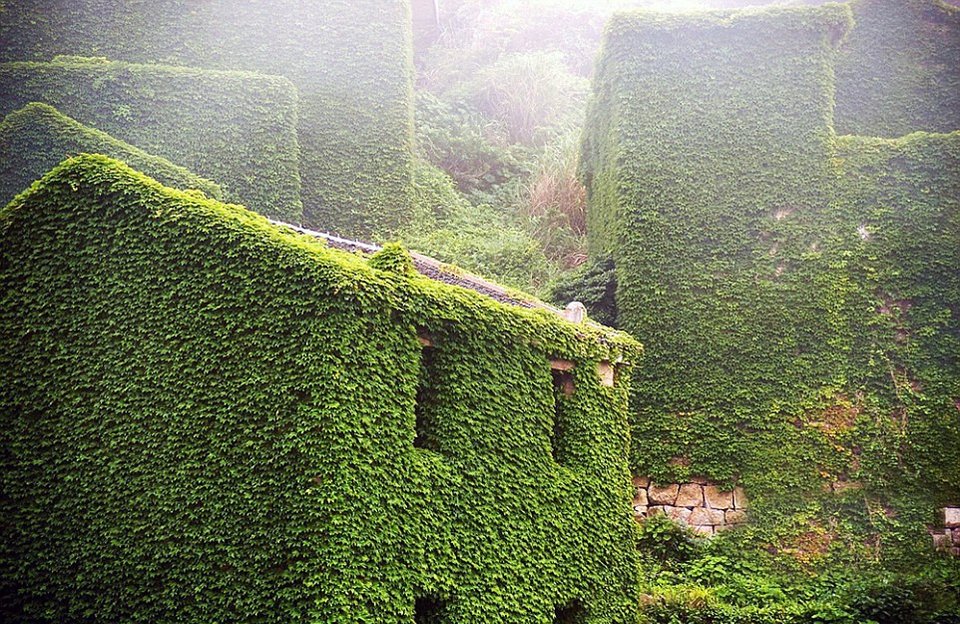 Η αντεπίθεση της φύσης: Πώς «κατάπιε» ένα ολόκληρο χωριό στην Κίνα [εικόνες] | iefimerida.gr 8