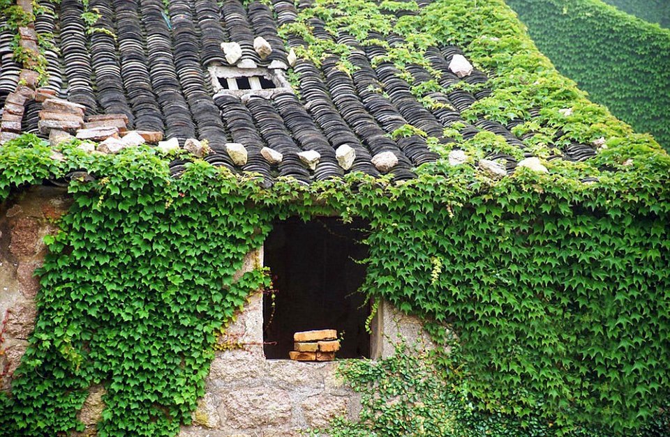 Η αντεπίθεση της φύσης: Πώς «κατάπιε» ένα ολόκληρο χωριό στην Κίνα [εικόνες] | iefimerida.gr 10