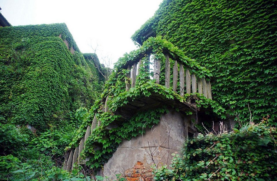 Η αντεπίθεση της φύσης: Πώς «κατάπιε» ένα ολόκληρο χωριό στην Κίνα [εικόνες] | iefimerida.gr 2