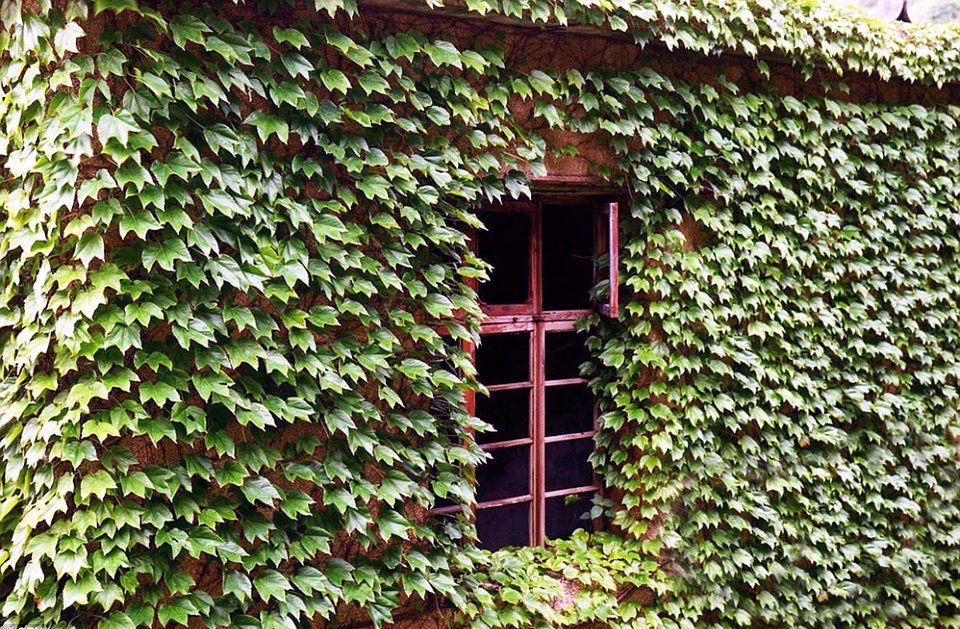 Η αντεπίθεση της φύσης: Πώς «κατάπιε» ένα ολόκληρο χωριό στην Κίνα [εικόνες] | iefimerida.gr 3