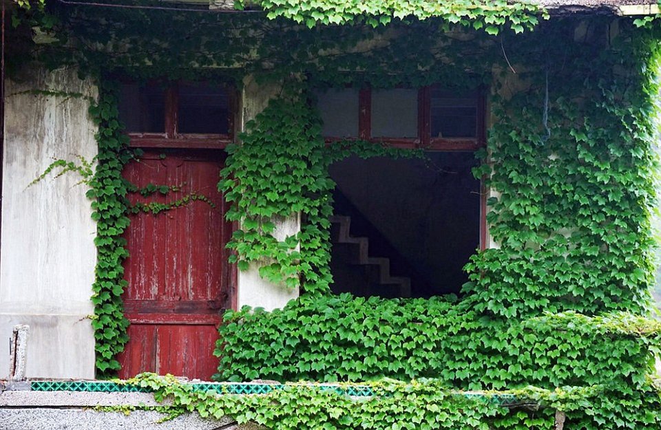 Η αντεπίθεση της φύσης: Πώς «κατάπιε» ένα ολόκληρο χωριό στην Κίνα [εικόνες] | iefimerida.gr 4