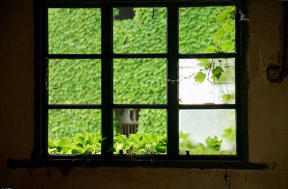 Η αντεπίθεση της φύσης: Πώς «κατάπιε» ένα ολόκληρο χωριό στην Κίνα [εικόνες] | iefimerida.gr 6