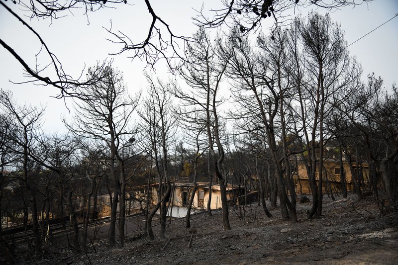 Καταγγελία για την Κινέτα: Εμείς καήκαμε γιατί δεν είχαμε νερό, προσπαθούσαμε να σβήσουμε τη φωτιά με λεμονάδες [εικόνες] | iefimerida.gr 3