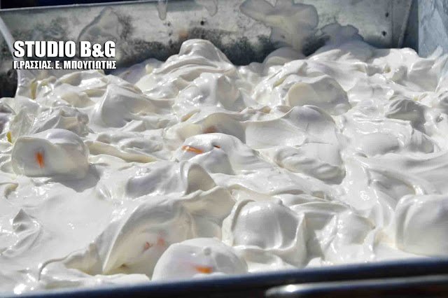 Κυνήγι θησαυρού με «βουτιές» σε γιαούρτι και αφρούς στο Ναύπλιο [εικόνες] | iefimerida.gr 0