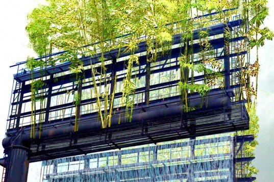 Οι «κρεμαστοί κήποι» του Λος Άντζελες δίνουν άλλη όψη στην πόλη [εικόνες] | iefimerida.gr 3