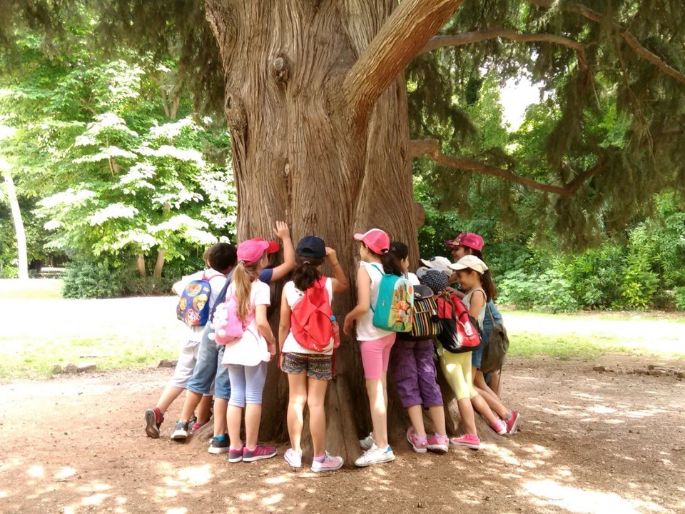 Συναυλίες, εργαστήρια, γιόγκα και πιλάτες αυτή την εβδομάδα στον Εθνικό Κήπο [πρόγραμμα]  | iefimerida.gr 1