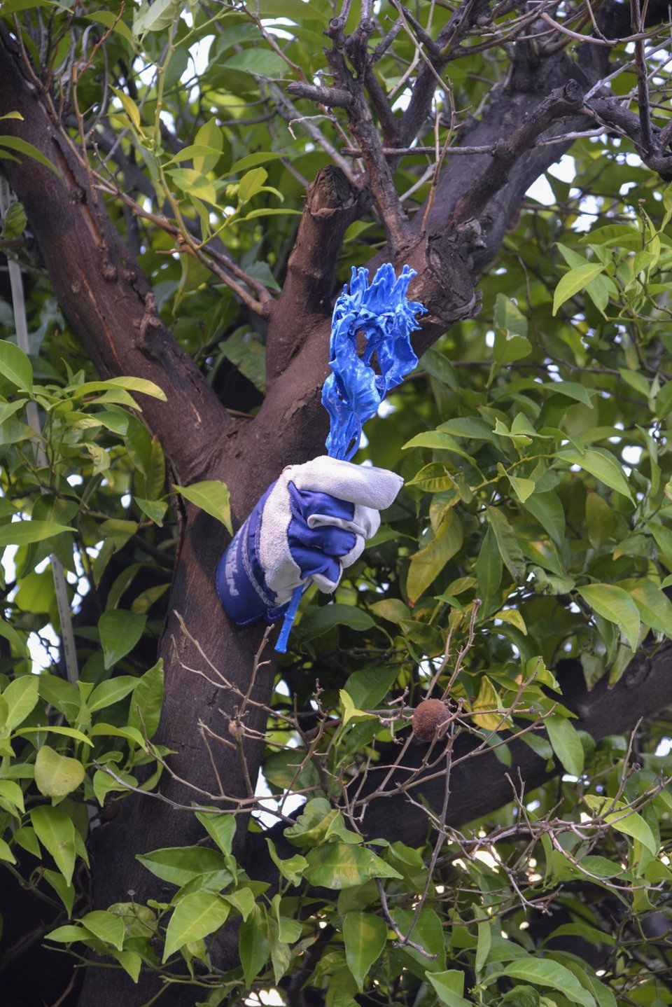 37 έργα σύγχρονης τέχνης στον Κήπο του Μεγάρου -Πάνω στους τοίχους, μέσα στους θάμνους [εικόνες]  | iefimerida.gr 3