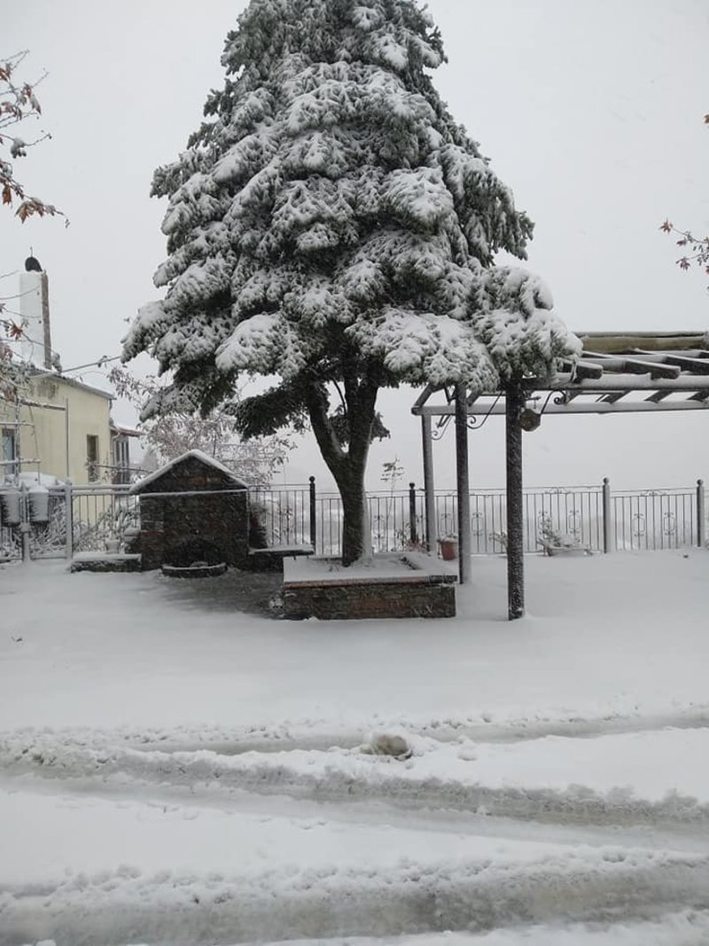 Αλπικό τοπίο στη Λάρισα: Στα λευκά «ντύθηκε» ο Κίσσαβος [εικόνες & βίντεο]  | iefimerida.gr 0