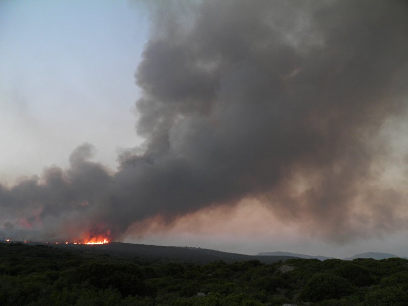 Δύσκολη νύχτα για τα Κύθηρα: Ανεξέλεγκτη η φωτιά, εκκενώθηκαν οικισμοί | iefimerida.gr 7