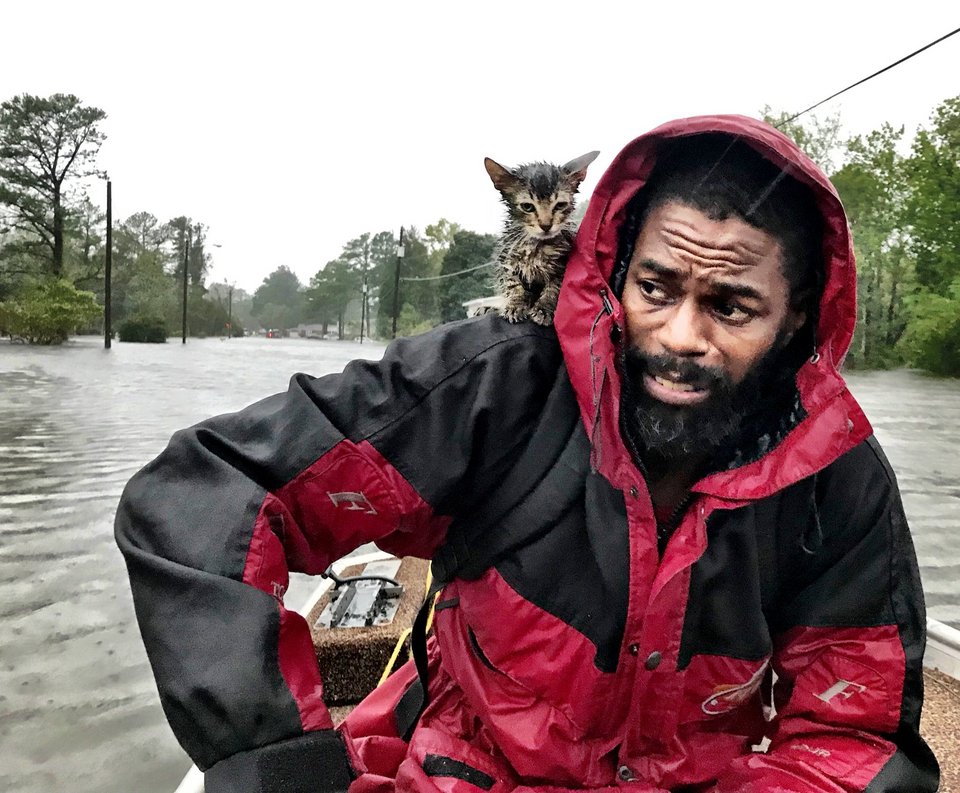 Οι viral φωτό με το γατάκι που σώθηκε από τον τυφώνα Φλόρενς [εικόνες] | iefimerida.gr 1