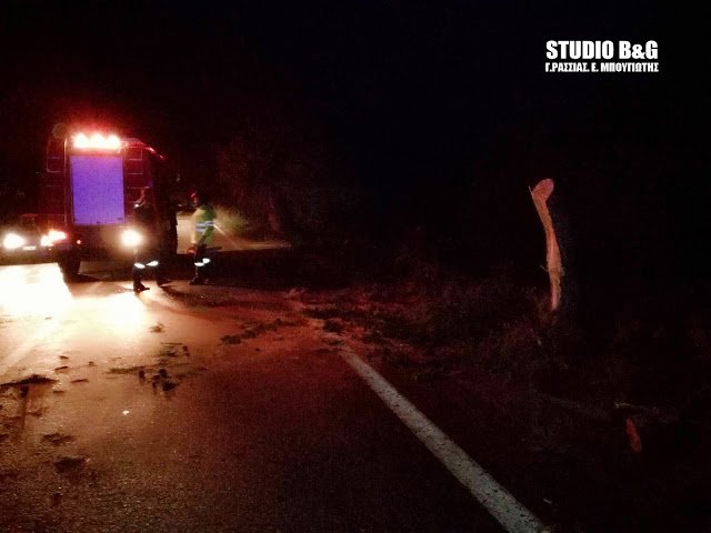 Θυελλώδεις άνεμοι στη χώρα -Ξερίζωσαν δέντρα, ξήλωσαν πλακάκια, καταστράφηκαν αυτοκίνητα [εικόνες & βίντεο] | iefimerida.gr 5