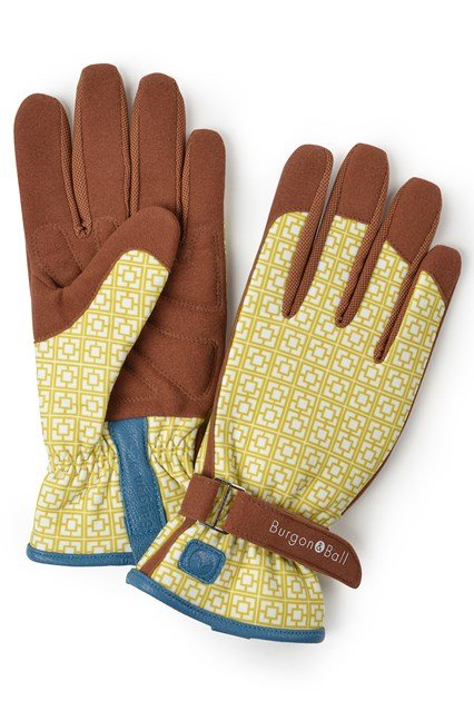 Οδηγός για νέους κηπουρούς -Αυτά είναι τα εργαλεία που θα χρειαστείς [εικόνες] | iefimerida.gr 4