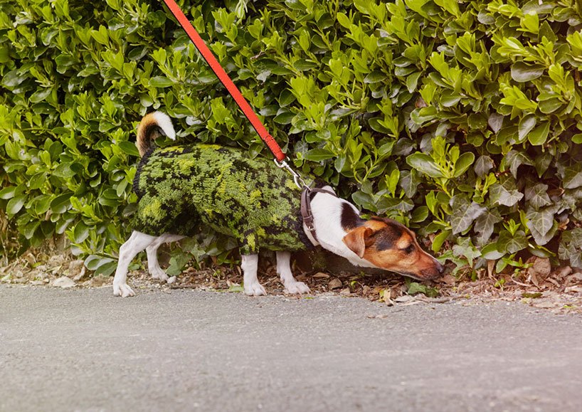 Πλεχτά καμουφλάζ! Εγιναν ένα με την... πόλη [εικόνες] | iefimerida.gr 4