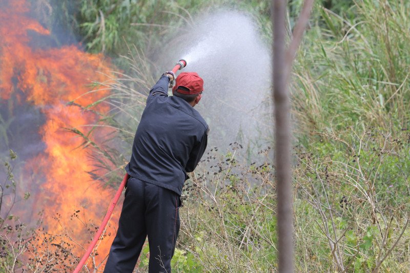 Υπό μερικό έλεγχο τέθηκε η πυρκαγιά στην Κνωσό [εικόνες] | iefimerida.gr 1