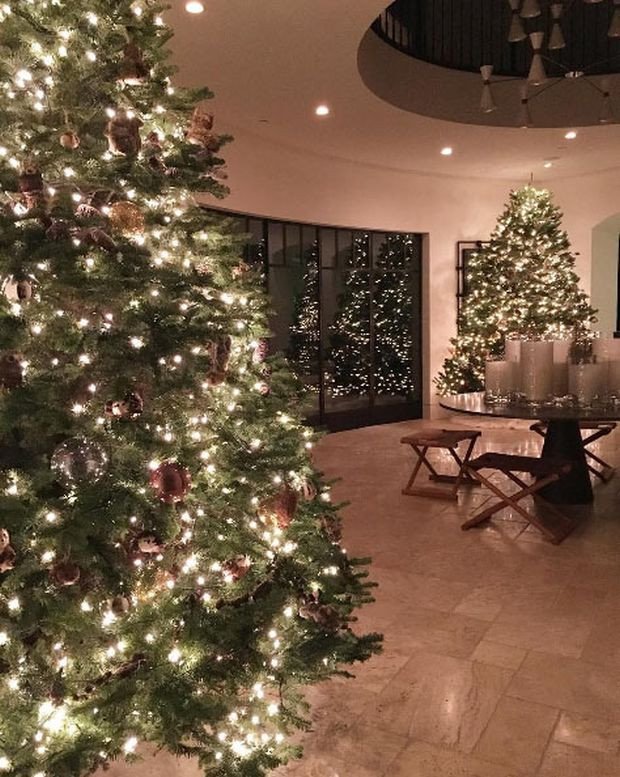 Πολυτέλεια και πλούτος: Δείτε τα χριστουγεννιάτικα δέντρα των διάσημων [εικόνες]  | iefimerida.gr 0