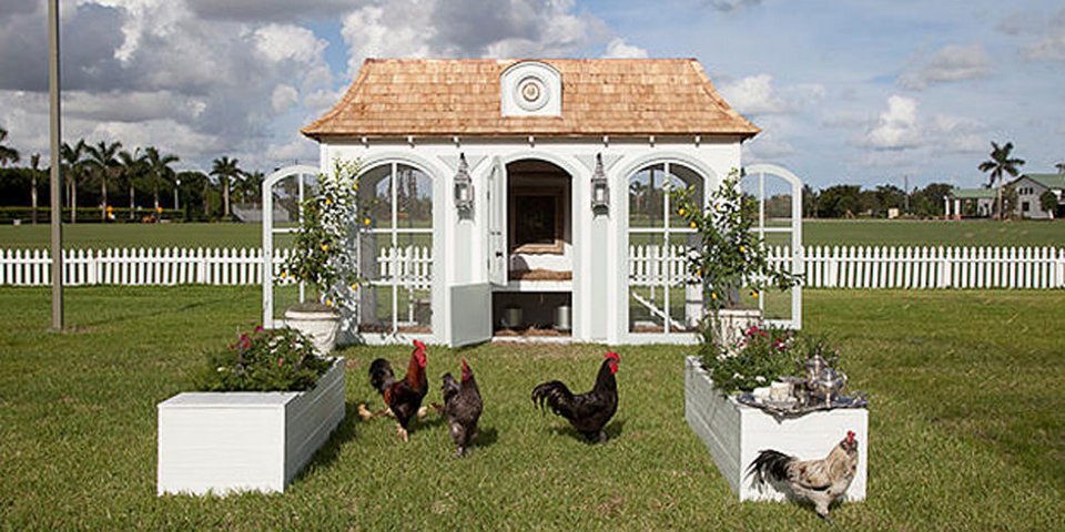 Το κοτέτσι των 100.000 δολαρίων -Mε πολυελαίους και πορσελάνες... [εικόνες] | iefimerida.gr 3