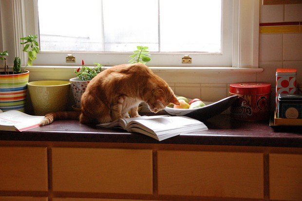 Γιατί δεν μπορείτε να αποκτήσετε six pack -7 λόγοι [λίστα] | iefimerida.gr 0