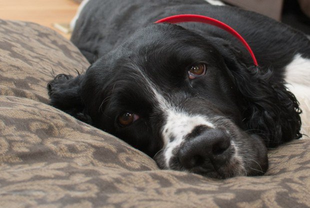 Γιατί δεν μπορείτε να αποκτήσετε six pack -7 λόγοι [λίστα] | iefimerida.gr 2