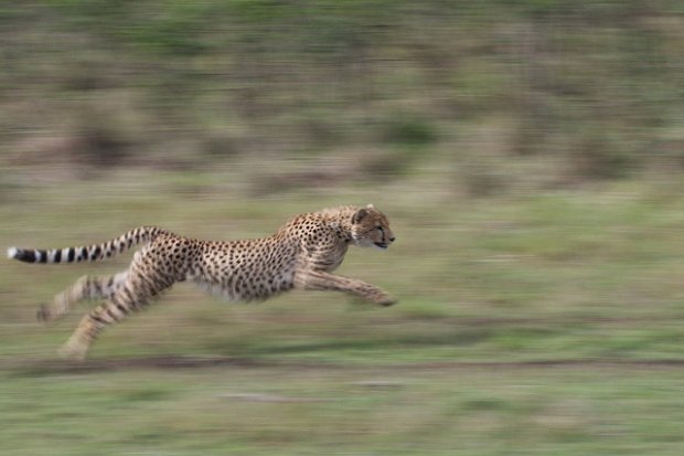 Γιατί δεν μπορείτε να αποκτήσετε six pack -7 λόγοι [λίστα] | iefimerida.gr 5