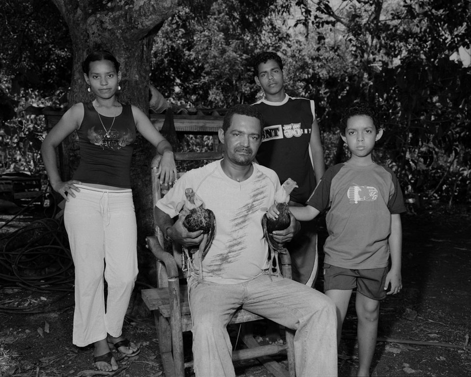 Κοκόρια ποζάρουν στο φακό -Στα άδυτα του βάρβαρου κόσμου των κοκορομαχιών [εικόνες] | iefimerida.gr 6