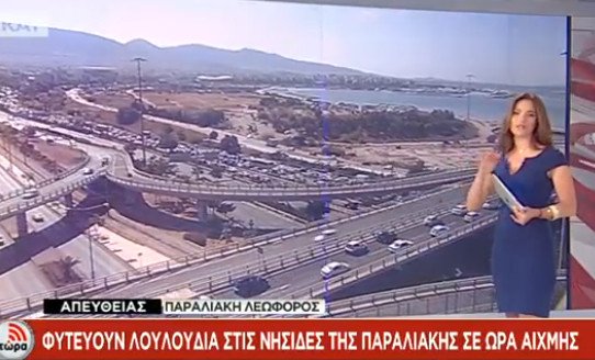 Κυκλοφοριακό κομφούζιο στην παραλιακή γιατί... φυτεύουν λουλούδια στις νησίδες! [εικόνες] | iefimerida.gr 2