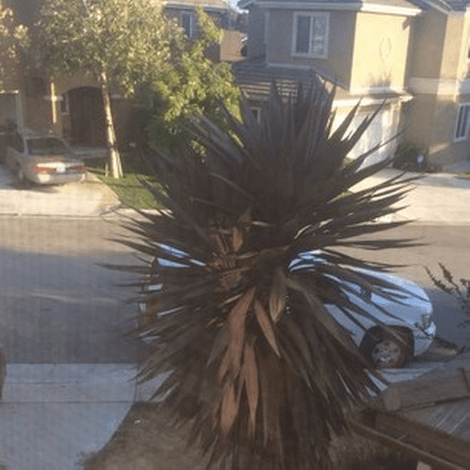 Τίποτα χειρότερο -Εστειλε κατά λάθος γυμνή φωτογραφία της  στον πατέρα της -Καρέ καρέ το τι ακολούθησε [εικόνες & βίντεο] | iefimerida.gr 2