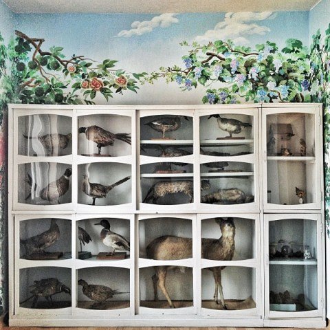 Η γη της απαγόρευσης -Οδοιπορικό στη Βόρεια Κορέα, σε μία από τις πιο μυστικές χώρες του κόσμου [εικόνες] | iefimerida.gr 1