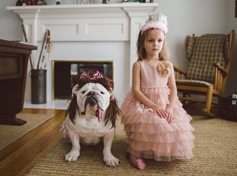 Η ιστορία αγάπης μιας πιτσιρίκας και ενός μπουλντόγκ που ξελιγώνει -Ο σκύλος με τα στέμματα, τα φουρό και τα κολιέ [εικόνες] | iefimerida.gr 10