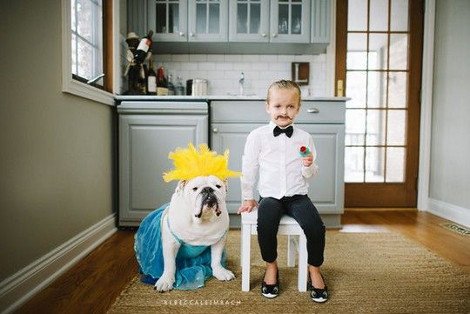 Η ιστορία αγάπης μιας πιτσιρίκας και ενός μπουλντόγκ που ξελιγώνει -Ο σκύλος με τα στέμματα, τα φουρό και τα κολιέ [εικόνες] | iefimerida.gr 4