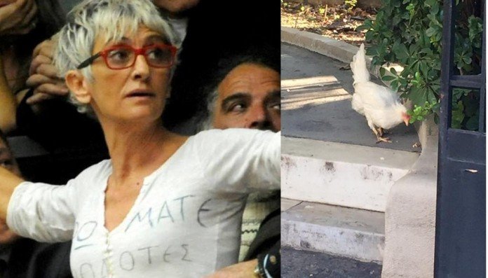 Η γυναίκα που πέταξε την κότα στο Μαξίμου σε νέο επεισόδιο στην Ηρώδου Αττικού | iefimerida.gr 0