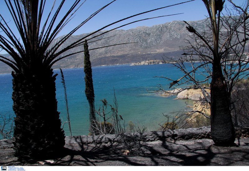 Τρεις μέρες καίει η πυρκαγιά στην ανατολική Μάνη: Δύο μέτωπα σε Κοκκάλα και Παρασυρό [εικόνες] | iefimerida.gr 0