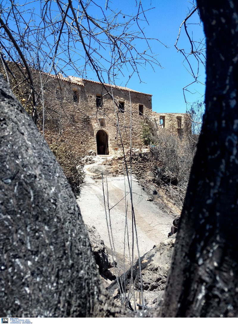 Τρεις μέρες καίει η πυρκαγιά στην ανατολική Μάνη: Δύο μέτωπα σε Κοκκάλα και Παρασυρό [εικόνες] | iefimerida.gr 1