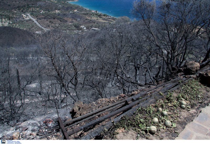Τρεις μέρες καίει η πυρκαγιά στην ανατολική Μάνη: Δύο μέτωπα σε Κοκκάλα και Παρασυρό [εικόνες] | iefimerida.gr 3