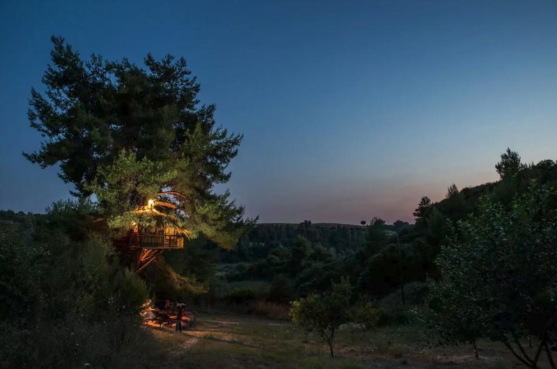 Διακοπές σε ονειρεμένα δεντρόσπιτα της Ελλάδας -Μποέμ διάθεση και ηρεμία στη φύση [εικόνες] | iefimerida.gr 6