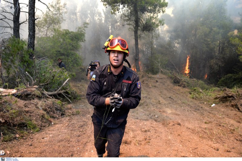 Καπανδρίτι: Πυροσβέστης σώζει μικρό πτηνό λίγα μέτρα μακριά από το μέτωπο της φωτιάς [εικόνες] | iefimerida.gr 2