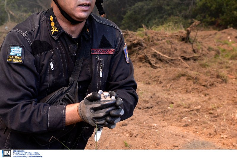 Καπανδρίτι: Πυροσβέστης σώζει μικρό πτηνό λίγα μέτρα μακριά από το μέτωπο της φωτιάς [εικόνες] | iefimerida.gr 3