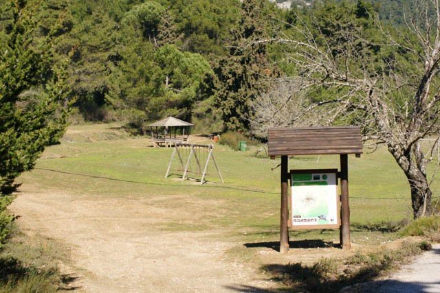 10 συν 2 προτάσεις για να πιάσετε τον Μάη -Πράσινες οάσεις στην Αττική [εικόνες] | iefimerida.gr 7