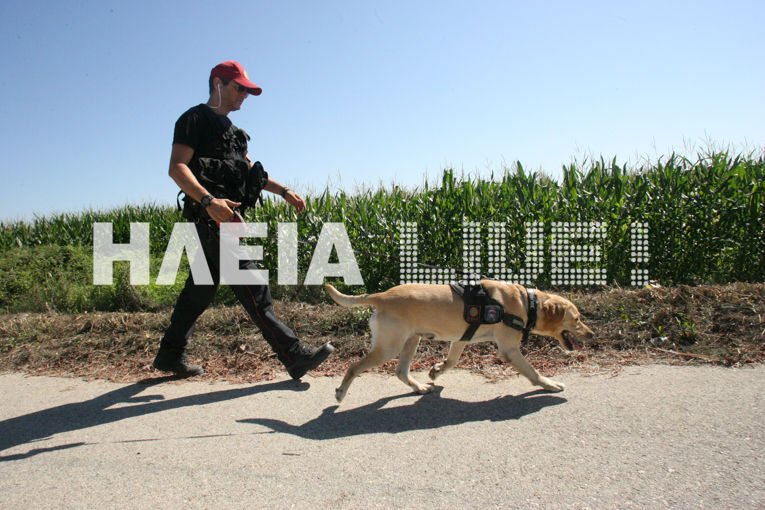 Hλεία: Πού είδαν τελευταία φορά πατέρα και κόρη που αγνοούνται από το Σάββατο [εικόνες] | iefimerida.gr 2