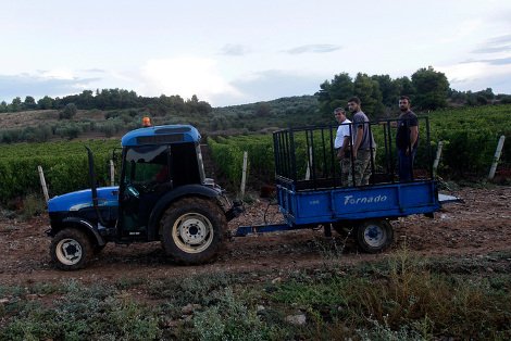 Ελληνικό κρασί: Το διαμάντι της κουλτούρας μας βάζει πλώρη για τις διεθνείς αγορές -Από το αμπέλι ως το ποτήρι [εικόνες] | iefimerida.gr 7