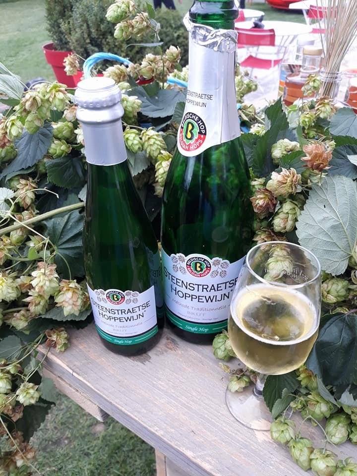 Λευκό κρασί με γεύση μπύρας -Για να μη σας προβληματίζει τι να διαλέξετε με το φαγητό σας [εικόνες] | iefimerida.gr 0