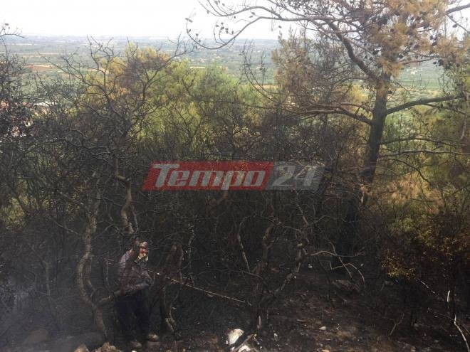 Νέα φωτιά στην Αχαΐα από κεραυνό -Εσβησε η προηγούμενη [εικόνες] | iefimerida.gr 1