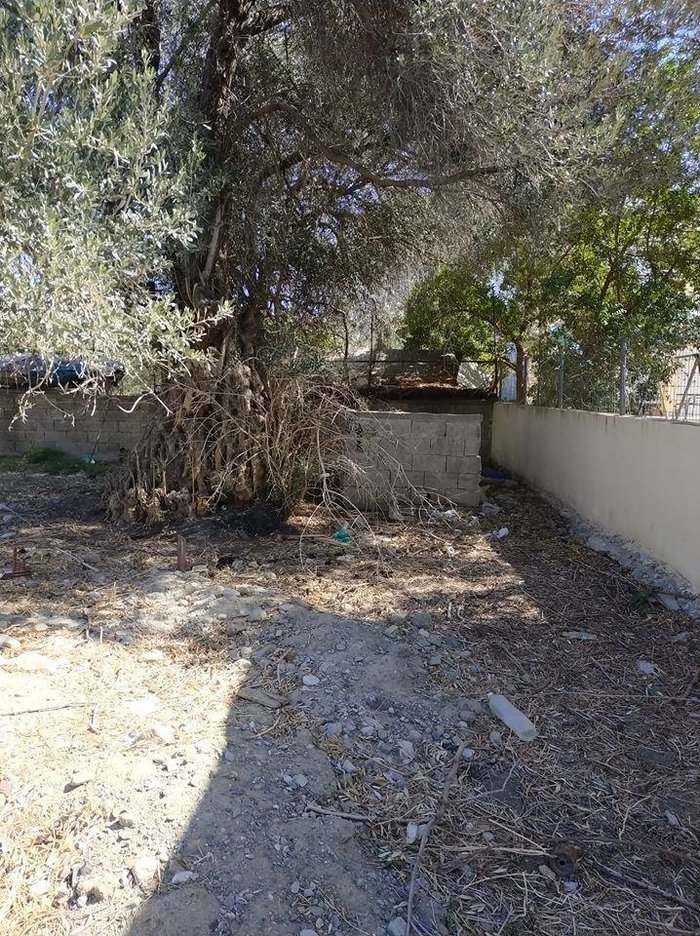 Κρήτη: Εκαψαν ζωντανό σκύλο, μέσα στο σπιτάκι του [εικόνα] | iefimerida.gr 0