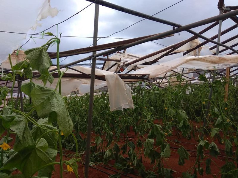 Ανυπολόγιστες καταστροφές για τους αγρότες