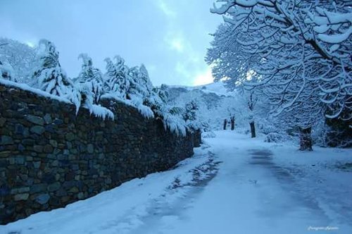 Εκπληκτικές φωτογραφίες από την Κρήτη στα λευκά! Χιόνι ως τις βάρκες [εικόνες] | iefimerida.gr 7