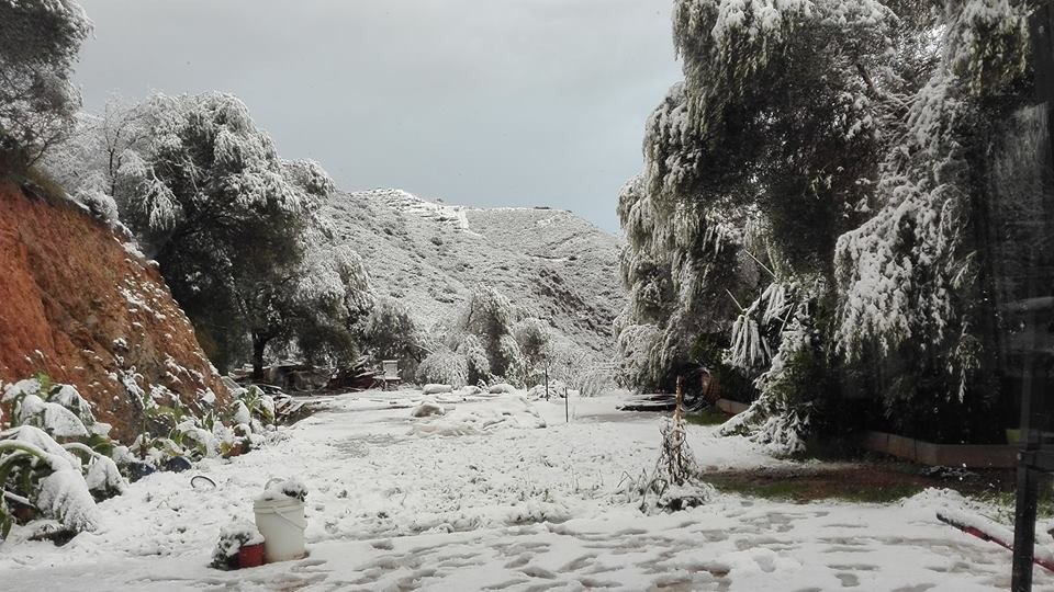 Το έστρωσε σε περιοχές των Χανίων [εικόνες]  | iefimerida.gr 2