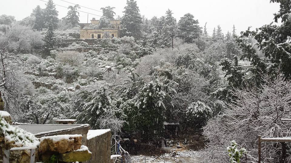 Το έστρωσε σε περιοχές των Χανίων [εικόνες]  | iefimerida.gr 0