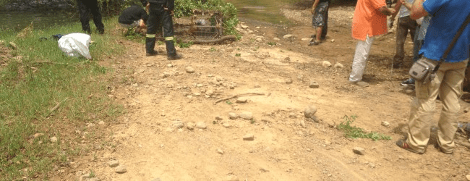 Ξεκίνησε η επιχείρηση παγίδευσης του Σήφη του Κροκόδειλου -Στήθηκαν τα κλουβιά [εικόνες] | iefimerida.gr 1