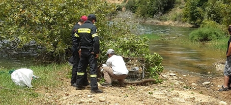 Ο Σήφης ο κροκόδειλος απέκτησε και δικό του προφίλ στο Facebook -Οι χιουμοριστικές αναρτήσεις [εικόνες] | iefimerida.gr 2